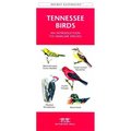 Waterford Press Waterford Press WFP1583551172 Tennessee Birds Book: An Introduction to Familiar Species (State Nature Guides) WFP1583551172